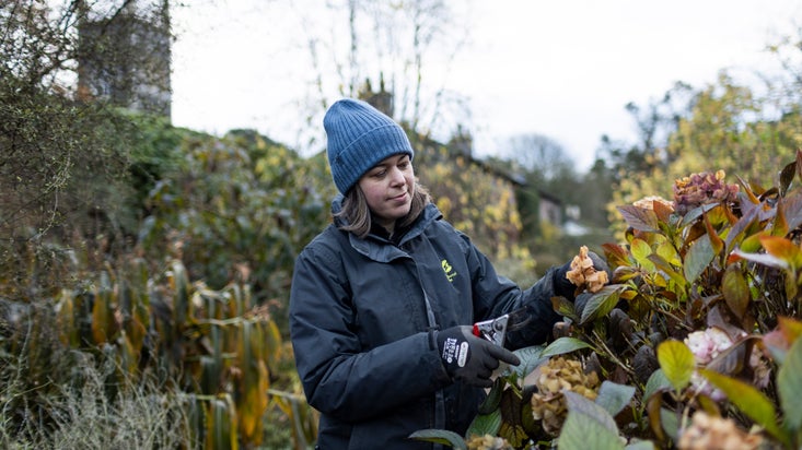 Gardeners maintaining Rowallane Garden, County Down